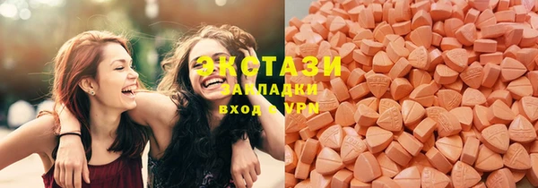 индика Осинники